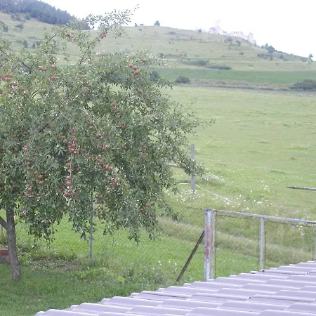 Dreveník Casa de hóspedes Spišské Podhradie
