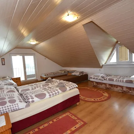 Casa de hóspedes Dreveník *